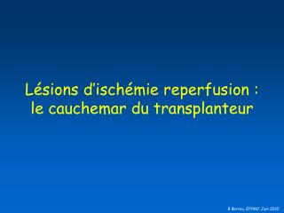 Lésions d’ischémie reperfusion : le cauchemar du transplanteur