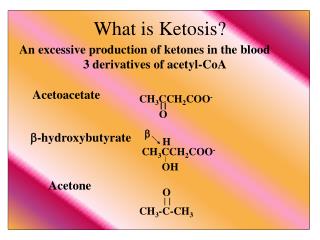 What is Ketosis?