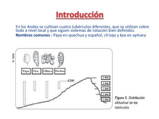 Introducción