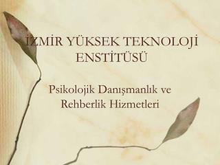 İZMİR YÜKSEK TEKNOLOJİ ENSTİTÜSÜ