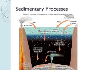 Sedimentary Processes