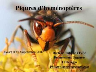 Piqures d’hyménoptères