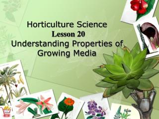 Horticulture Science Lesson 20 Understanding Properties of Growing Media