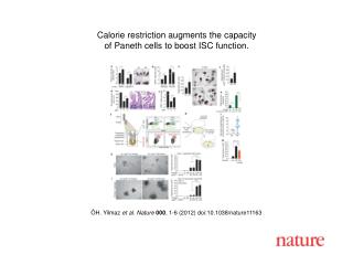 ÖH. Yilmaz et al . Nature 000 , 1-6 (2012) doi:10.1038/nature11163