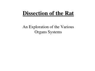 Dissection of the Rat