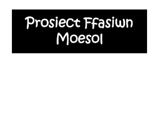 Prosiect Ffasiwn Moesol
