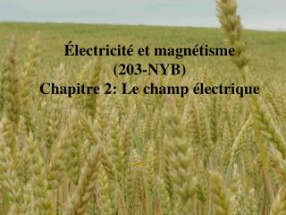 Électricité et magnétisme (203-NYB) Chapitre 2: Le champ électrique