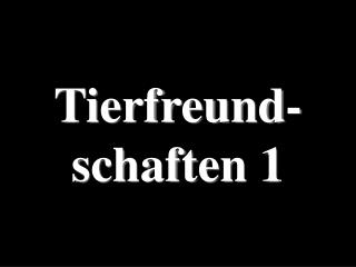 Tierfreund-schaften 1