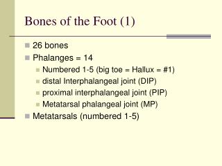 Bones of the Foot (1)