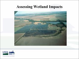 Assessing Wetland Impacts