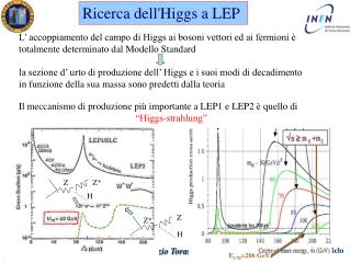 Ricerca dell'Higgs a LEP