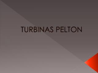 TURBINAS PELTON