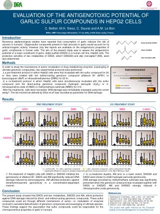EVALUATION OF THE ANTIGENOTOXIC POTENTIAL OF GARLIC SULFUR COMPOUNDS IN HEPG2 CELLS