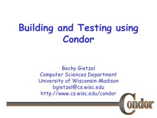 Building and Testing using Condor