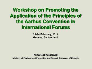 23-24 February, 2011 Geneva, Switzerland Nino Gokhelashvili
