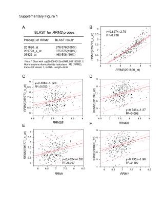 Supplementary Figure 1