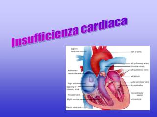 Insufficienza cardiaca