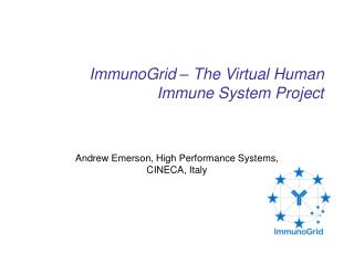 ImmunoGrid – The Virtual Human Immune System Project