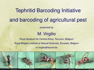 presented by M. Virgilio Royal Museum for Central Africa, Tervuren, Belgium