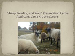 &quot;S heep B reeding and Wool &quot; Presentation Center Applicant: Vanja Krgović-Šarović  