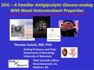 2DG – A Familiar Antiglycolytic Glucose-analog With Novel Anticonvulsant Properties