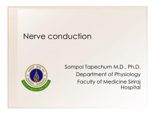 Nerve conduction