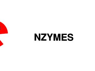 NZYMES