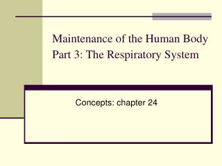 Maintenance of the Human Body Part 3: The Respiratory System