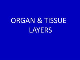 ORGAN &amp; TISSUE LAYERS