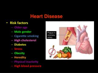 Circulatory System Disorders