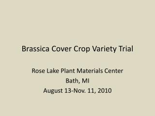 Brassica Cover Crop Variety Trial