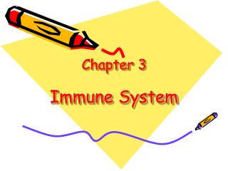 Chapter 3 Immune System