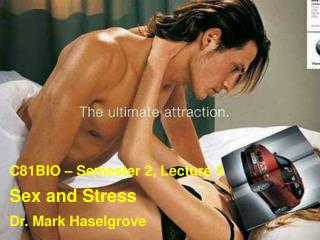 Sex and Stress