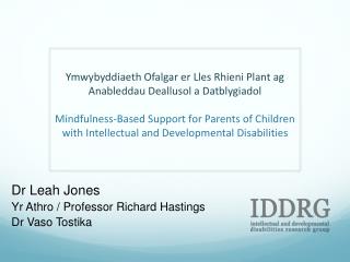 Dr Leah Jones Yr Athro / Professor Richard Hastings Dr Vaso Tostika