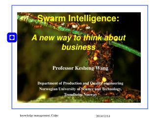 Swarm Intelligence: A new way to think about business