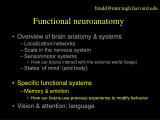 PPT - Neuroanatomy PowerPoint Presentation - ID:4379107