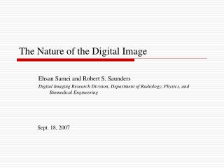 The Nature of the Digital Image