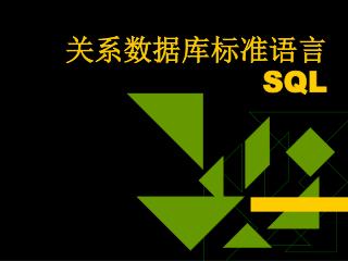关系数据库标准语言 SQL