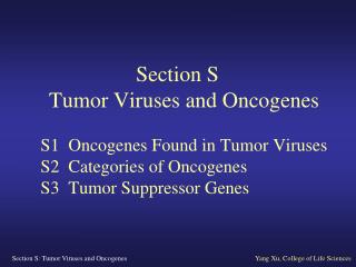 S1 Oncogenes Found in Tumor Viruses