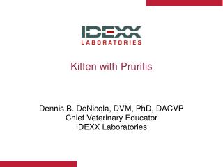 Kitten with Pruritis