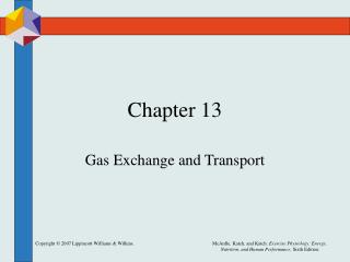 Chapter 13