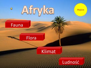 Afryka