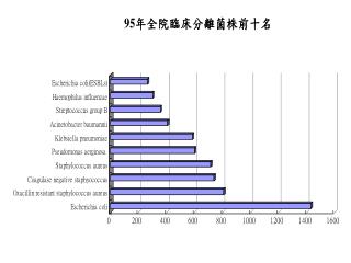 95年全院分離菌株排行前十名