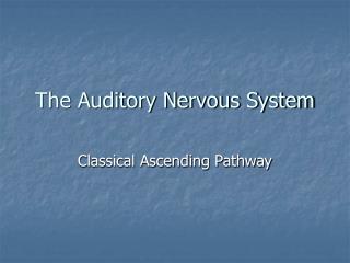 The Auditory Nervous System