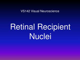 VS142 Visual Neuroscience