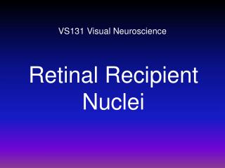 VS131 Visual Neuroscience