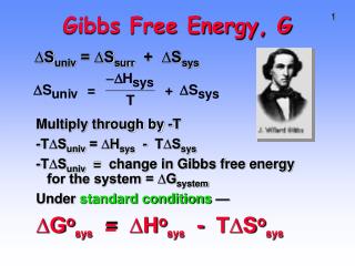Gibbs Free Energy, G