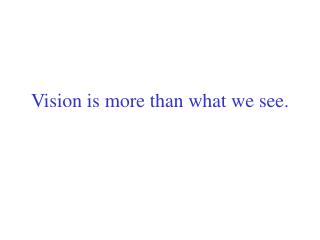 Vision is more than what we see.