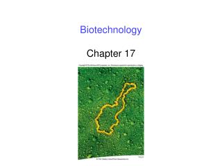 Biotechnology