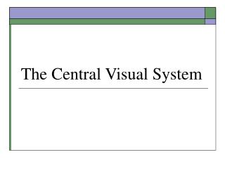 The Central Visual System